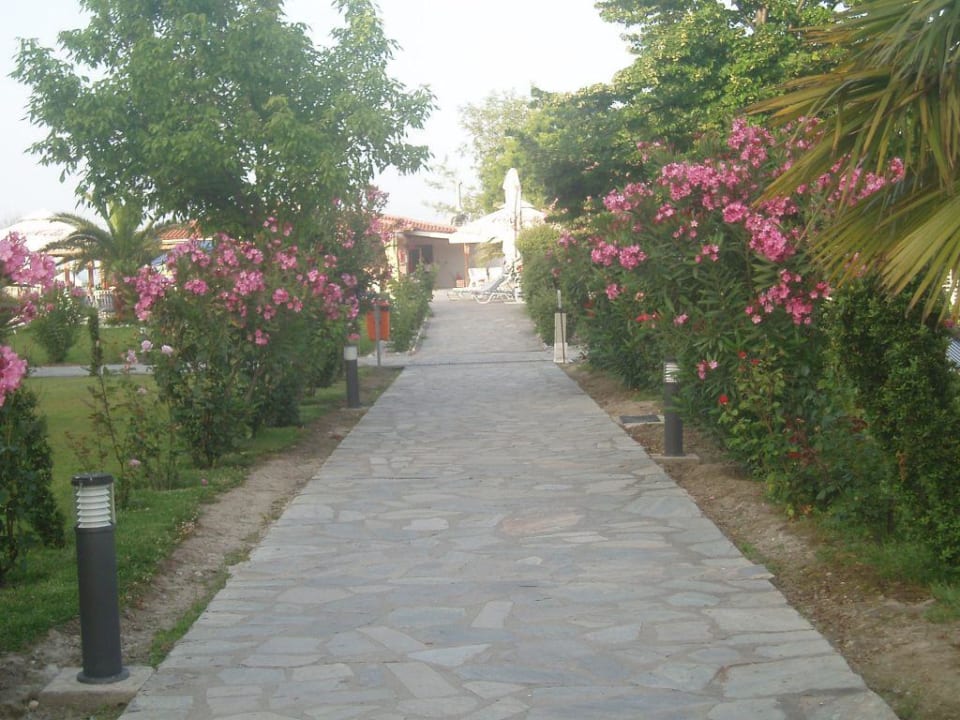 Gartenanlage alltoura Club Hotel Poseidon Palace