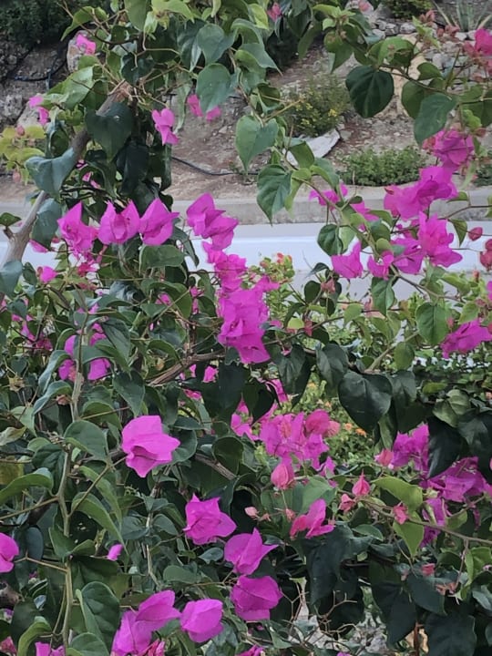 Außenansicht alltoura Club Hotel Porto Angeli Beach Resort