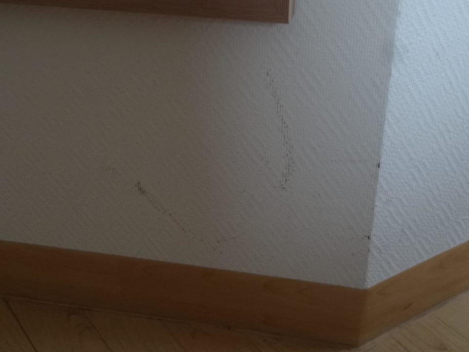 Dreckige Wände (1) AKZENT Hotel Aufkirchen