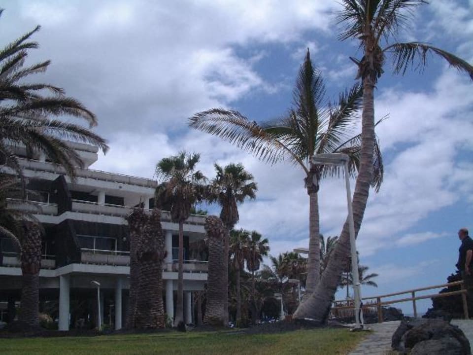 Garten Melia La Palma Hotel