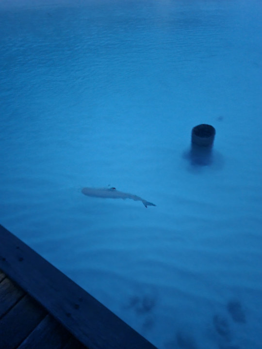 Strand Kuramathi Maldives