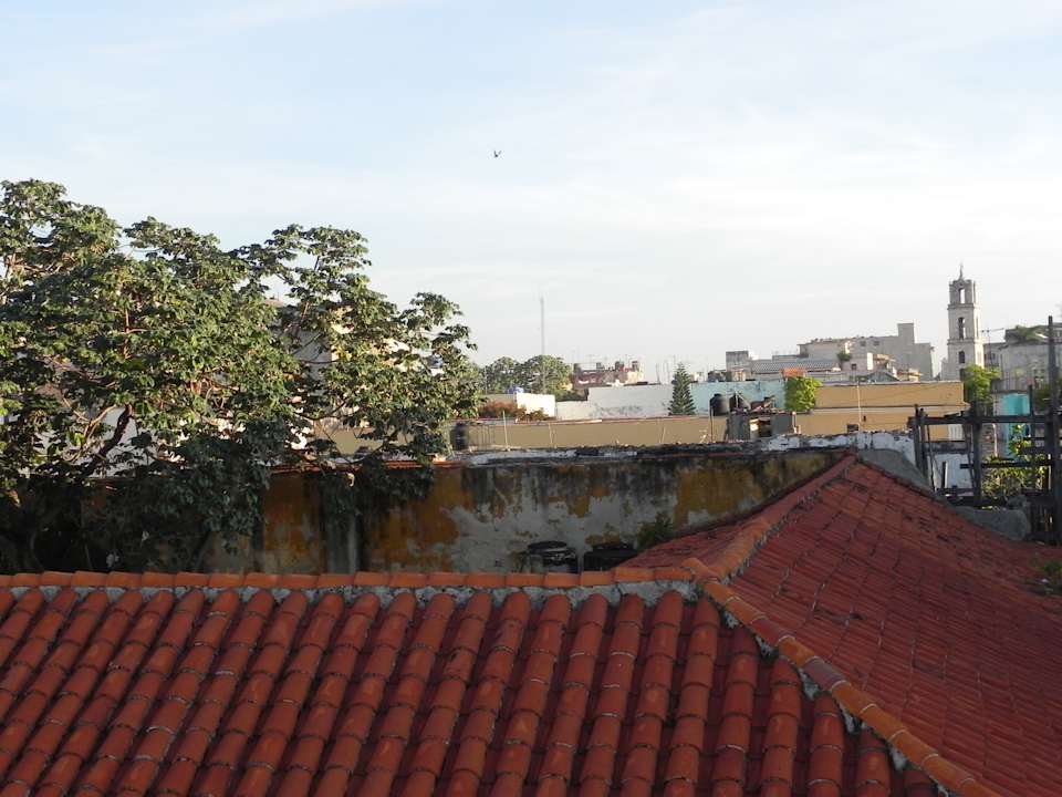 Ausblick Loft Habana