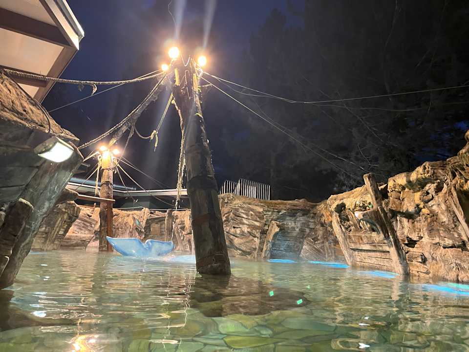 Pool Center Parcs De Kempervennen