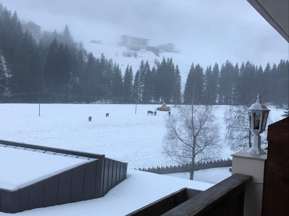 Ausblick Alphotel Tyrol