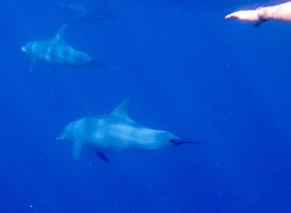 Strand Brayka Bay Resort