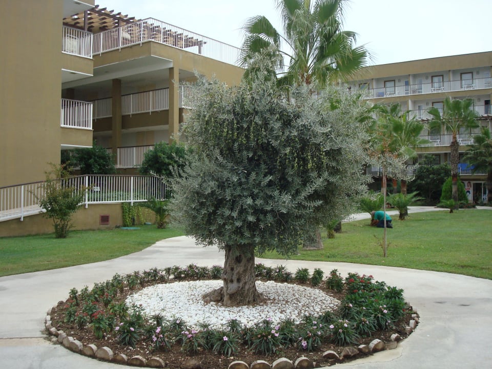 Сад отеля Marvida Family Eco