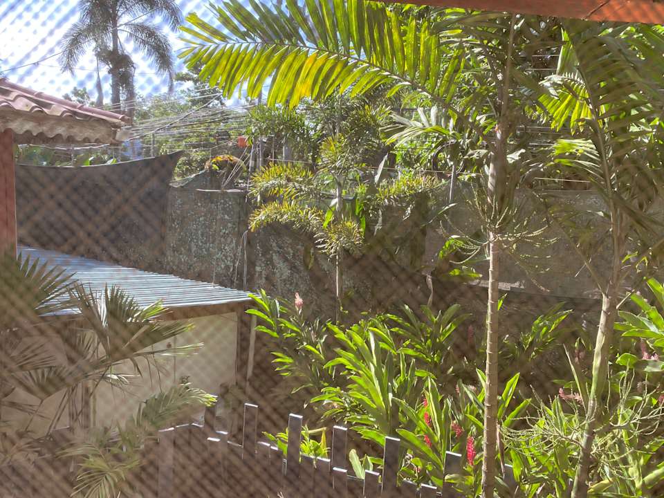 Gartenanlage Hotel Banana Azul