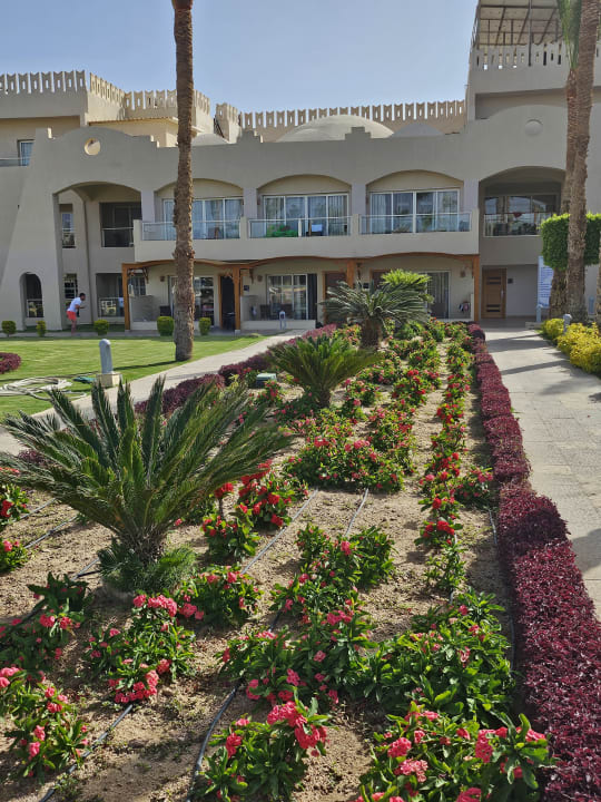 Gartenanlage Pickalbatros Royal Moderna Resort-Sharm El Sheikh