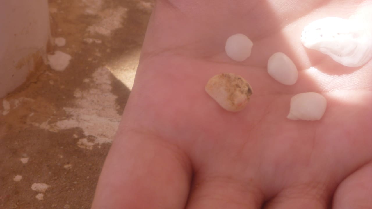 Strand Menaville Safaga