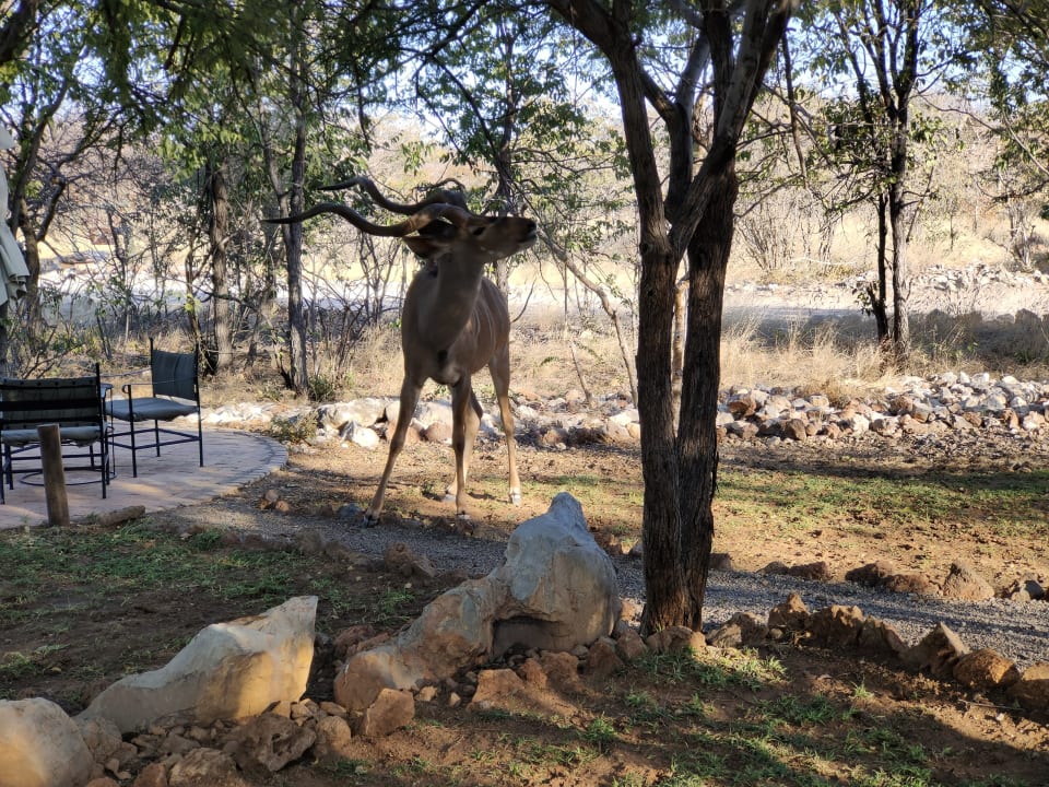 Ausblick Etosha Village