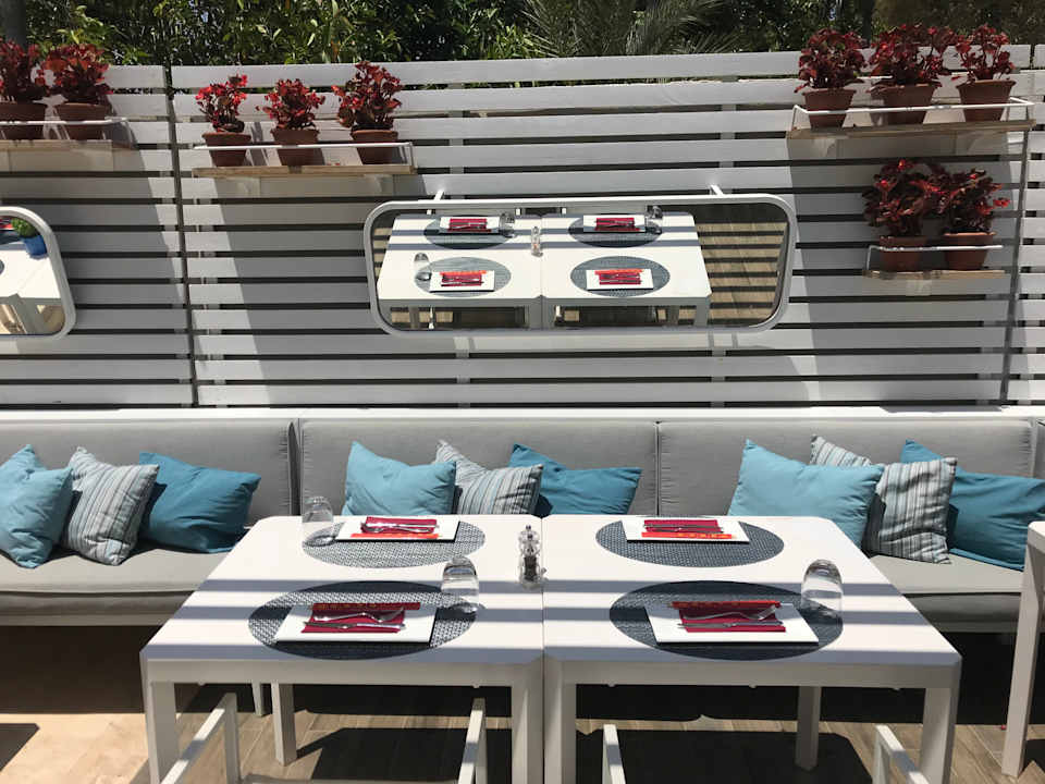 Restaurant Roka Acanthus Cennet Barut Collection