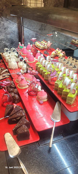 Gastro Seashell Vega