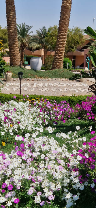 Gartenanlage Eagles Paradise Abu Soma