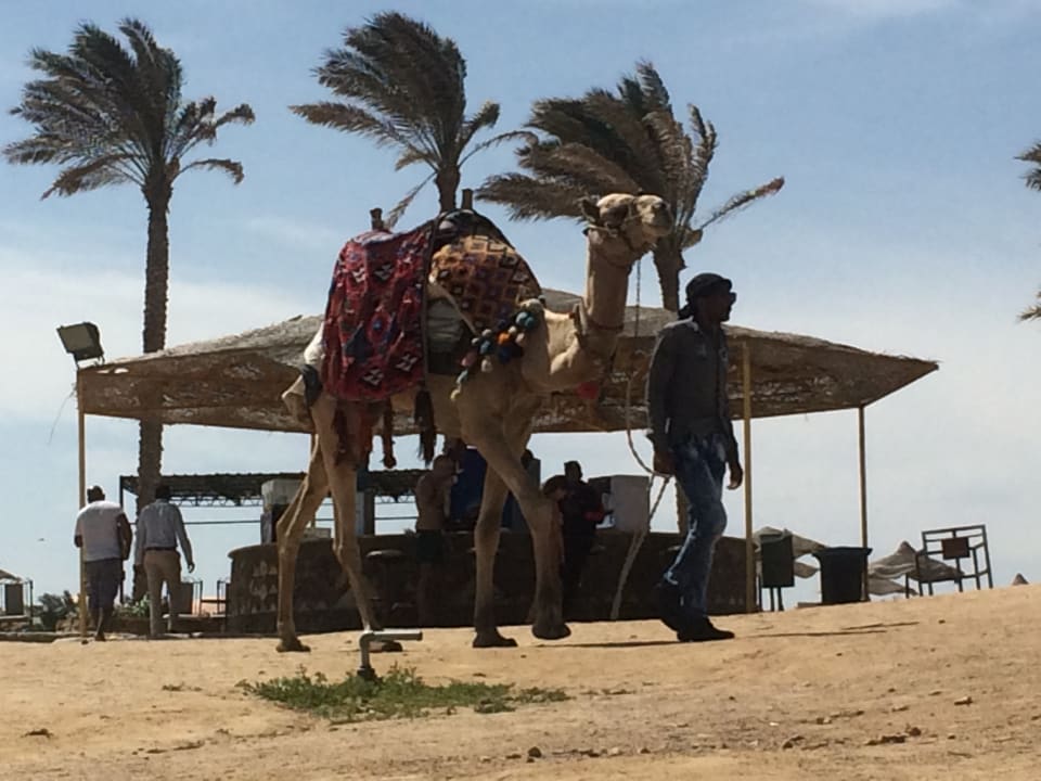 Strand Three Corners Sea Beach Resort