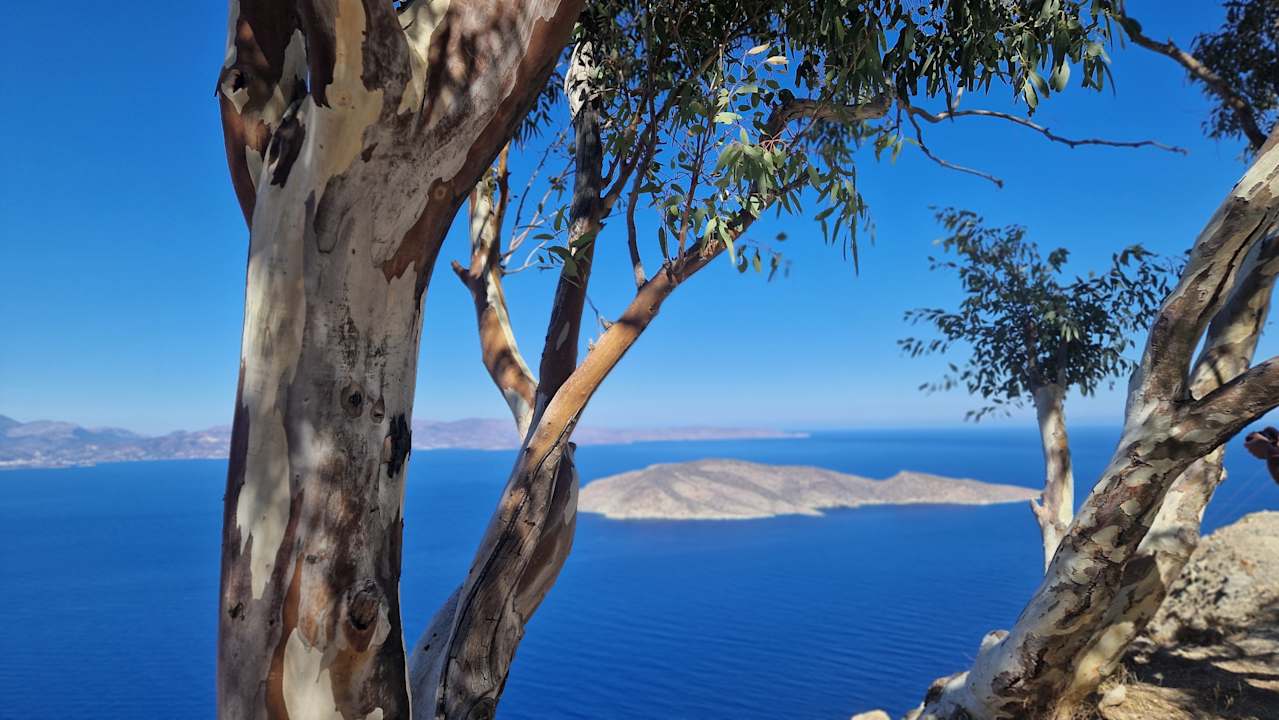 Sonstiges Kalypso Hotel