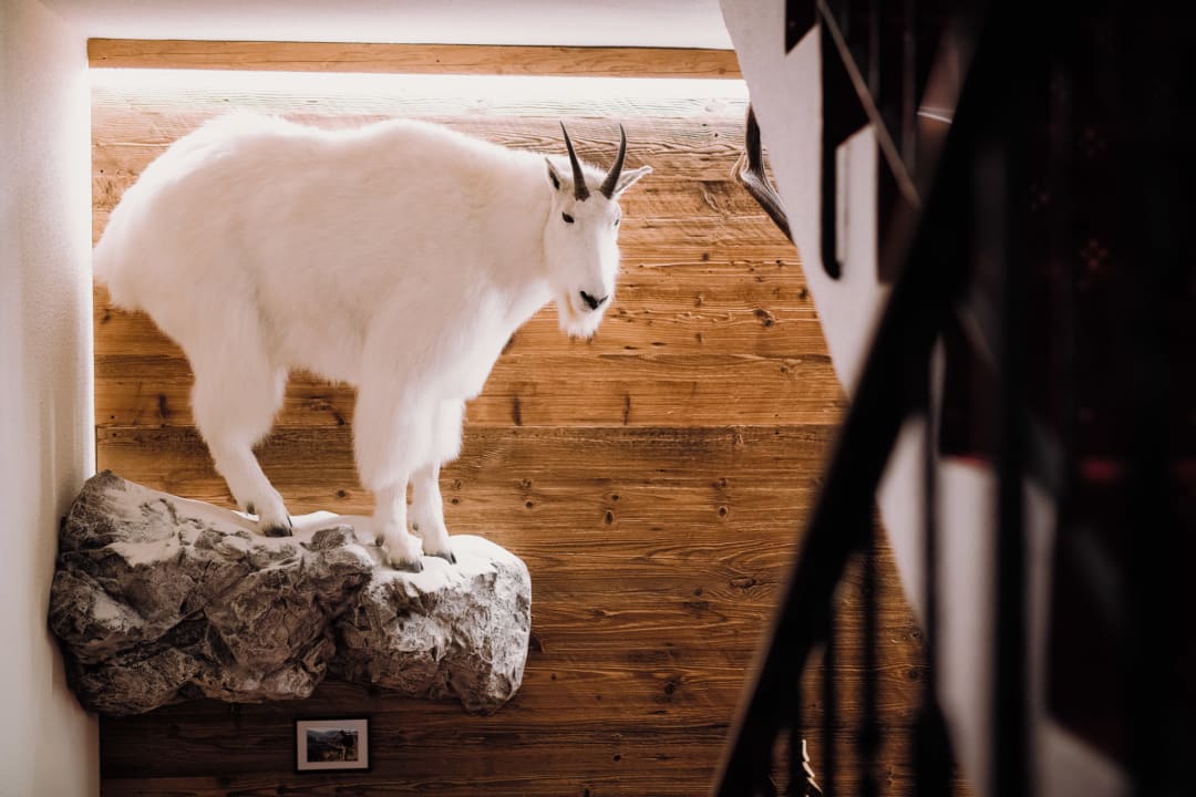 Sonstiges Apart Garni Hax'n Tenne