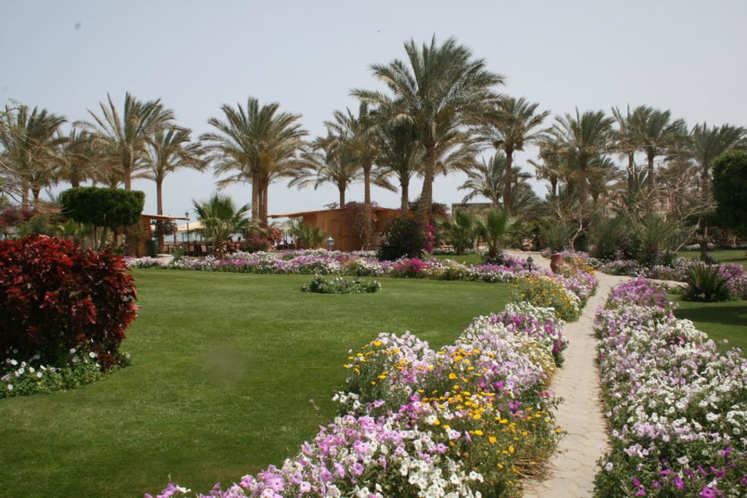 Blumen über Blumen Brayka Bay Resort