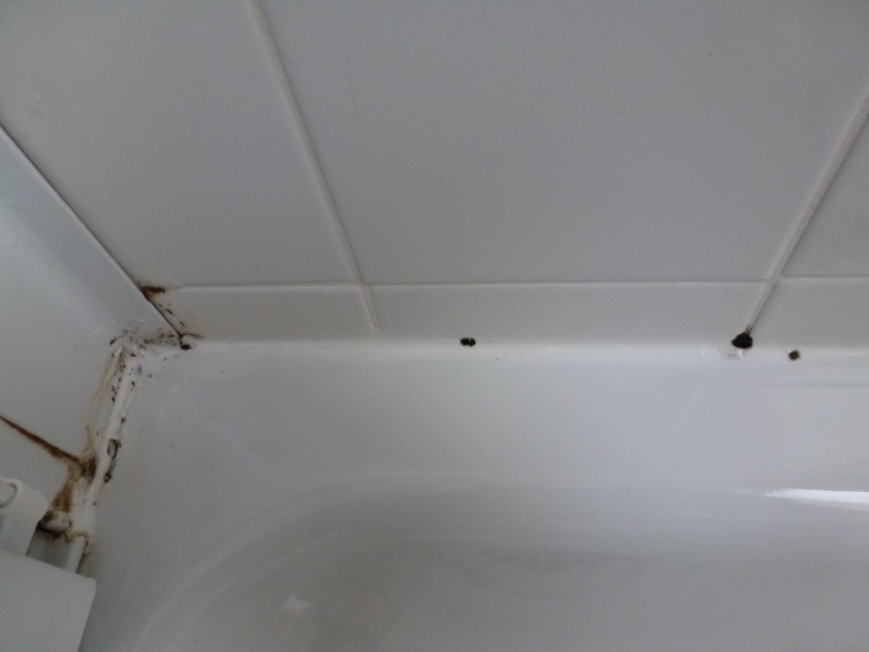 Dusche von Schimmel befallen Hotel Terme Venezia
