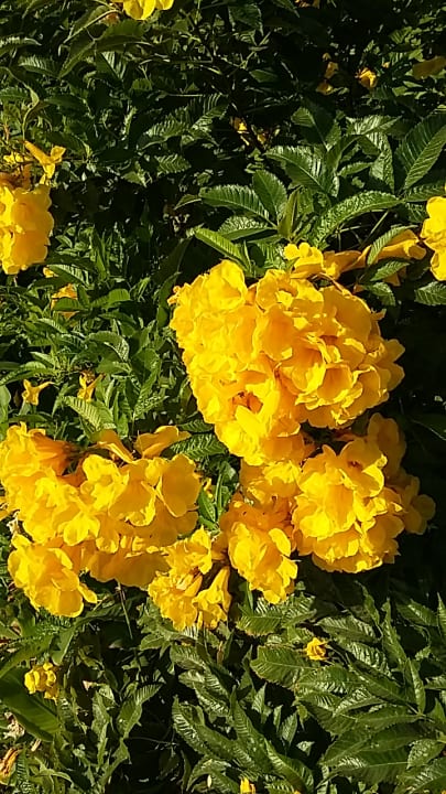 Außenansicht Tropitel Sahl Hasheesh