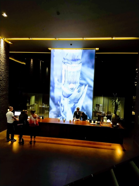 Lobby Saccharum