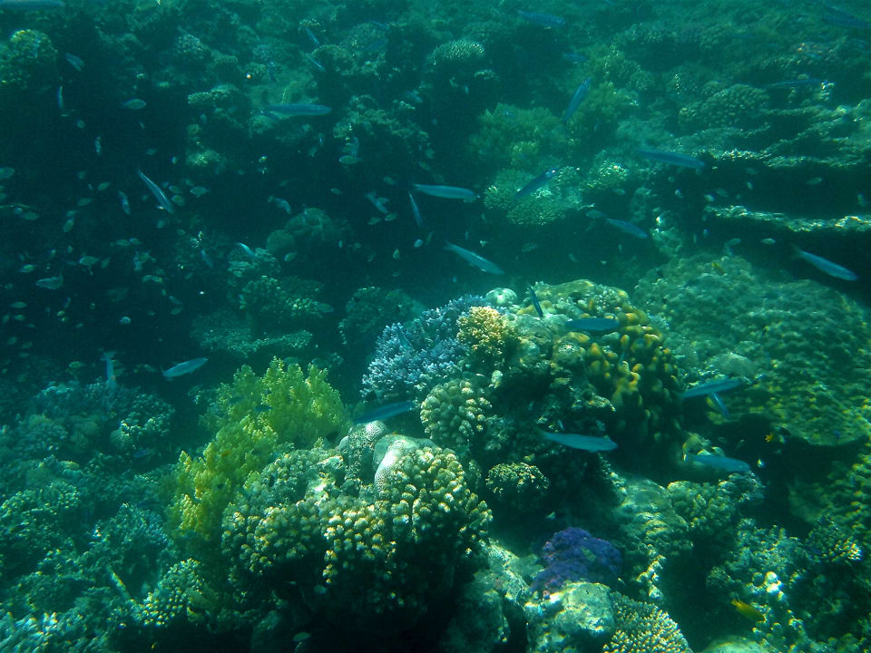 Sport & Freizeit Lahami Bay Beach Resort