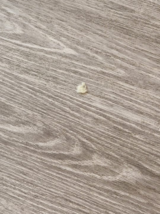 Zimmer AluaSoul Palma