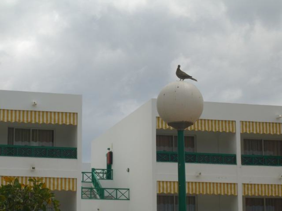 Hotel von aussen Oasis Lanz Beach Mate