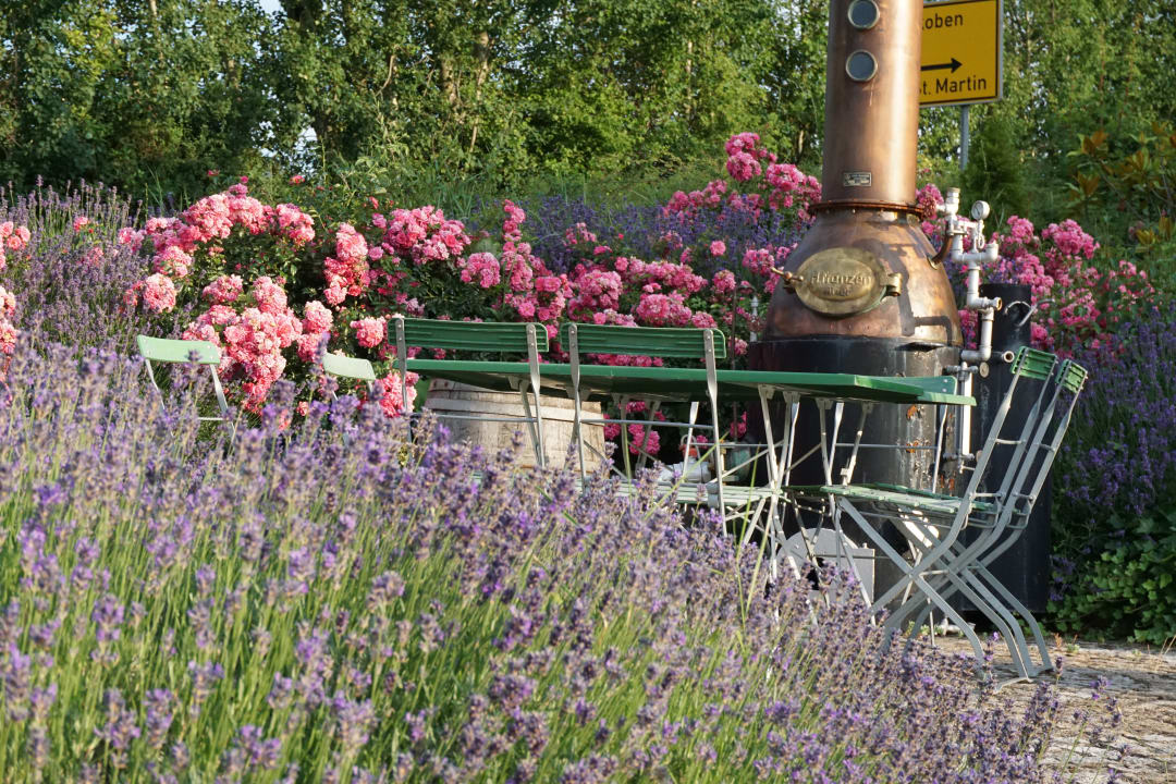 Gartenanlage Wein-gut-Hotel Landhaus Christmann