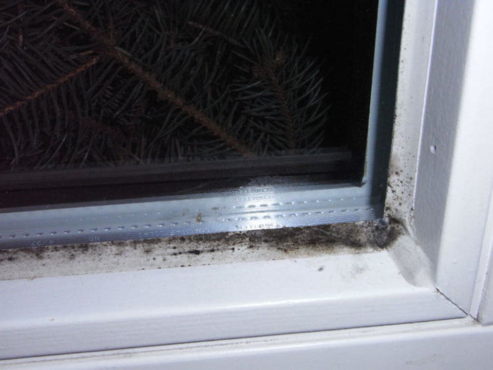 Schimmer Fenster Hotel Up-Hus-Idyll