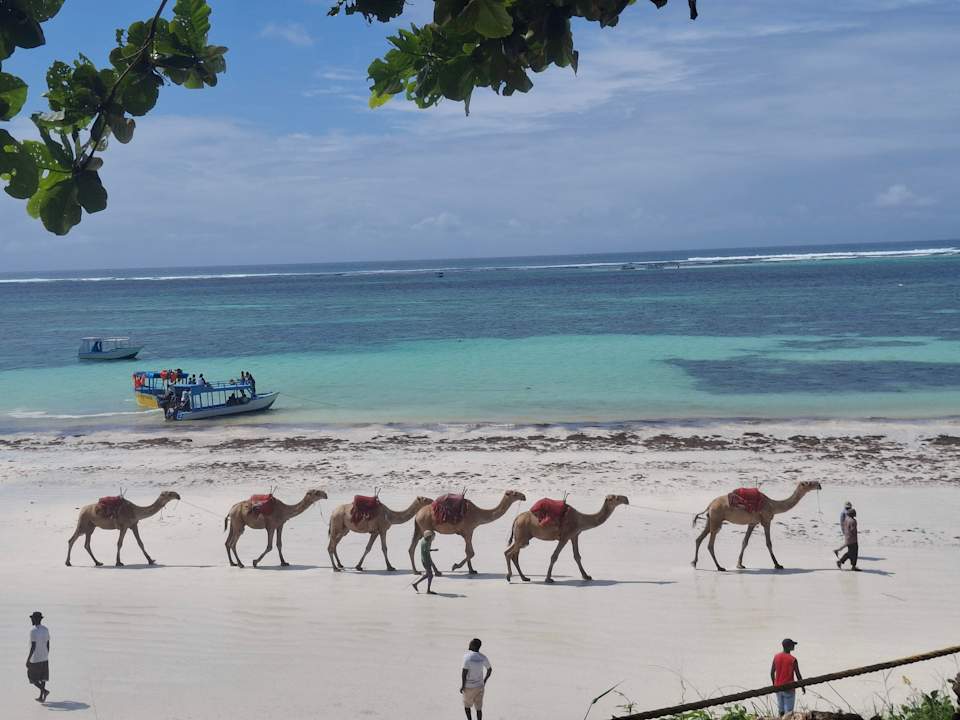 Strand Baobab Beach Resort & Spa