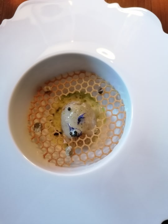 Gastro Hotel SaxenHof der Rhöner Botschaft