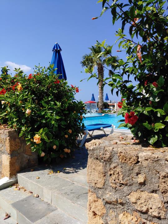 Gartenanlage Sentido Kyknos Beach Adults Only 16+