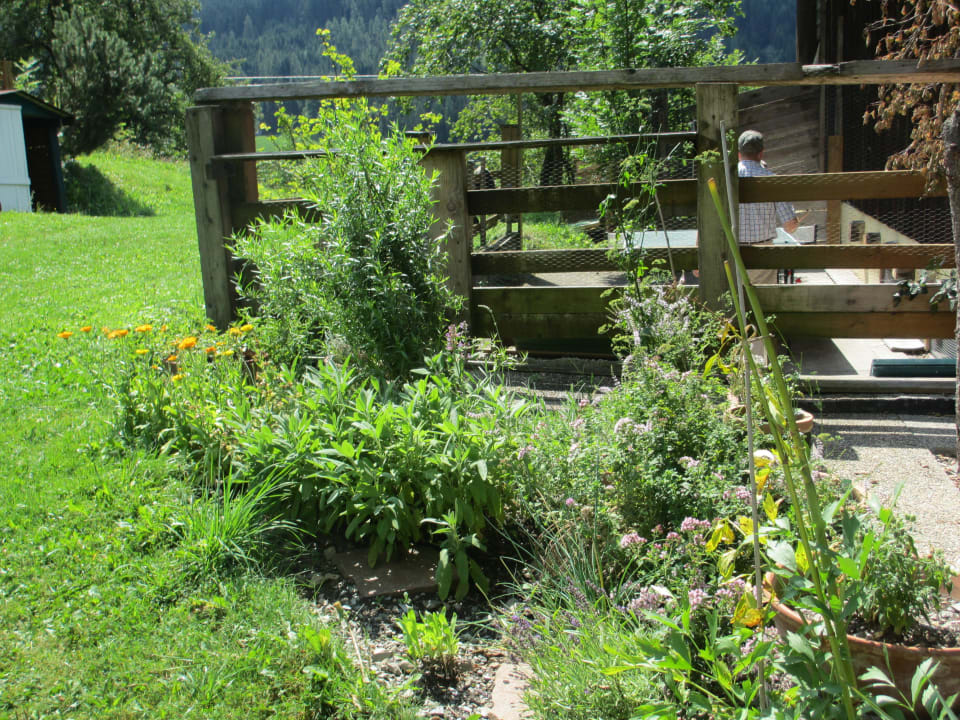 Zaun Landhof Kreuzsalgut