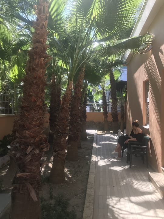 Außenansicht Dizalya Palm Garden