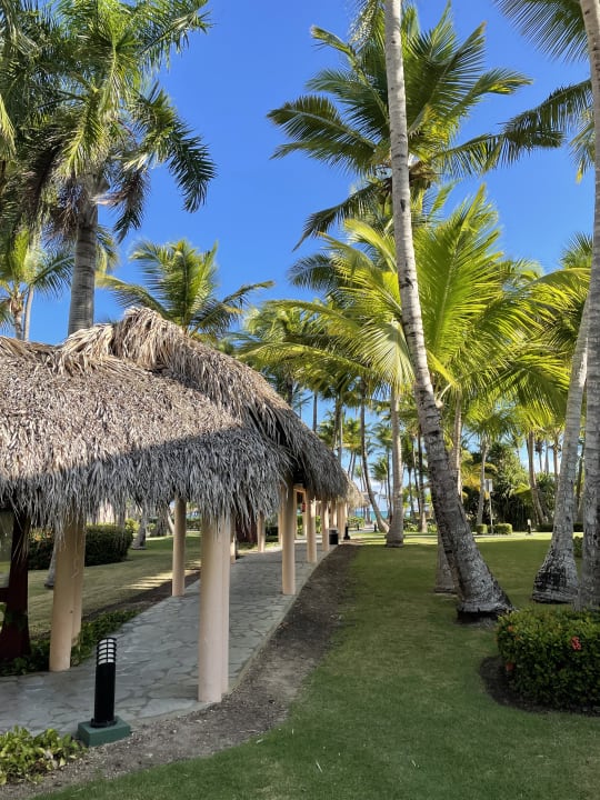 Gartenanlage Hotel Grand Palladium Palace Resort, Spa & Casino