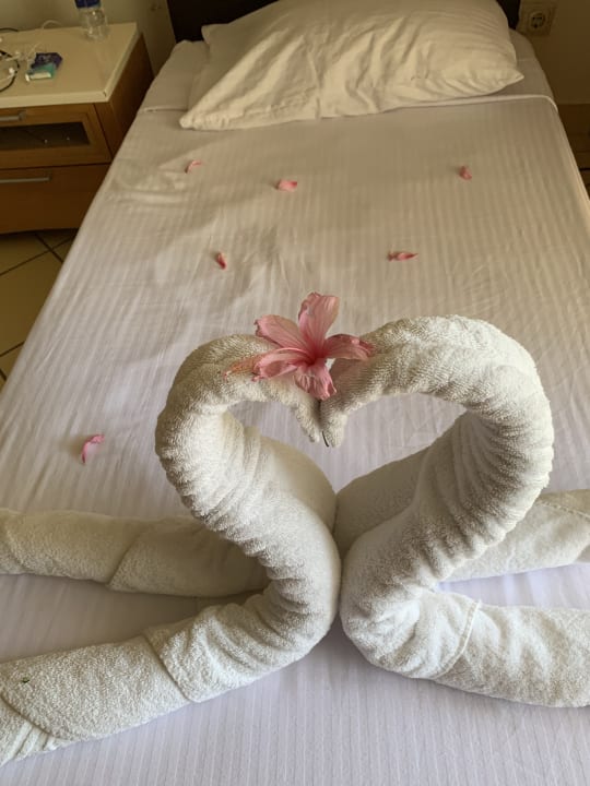 Zimmer Siva Sharm