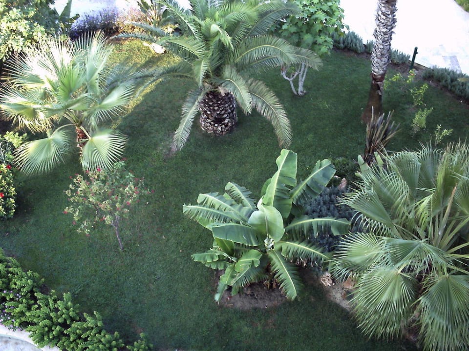 Garten Eden VONRESORT Golden Beach