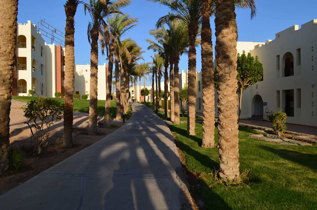 Аллея SUNRISE Royal Makadi Resort