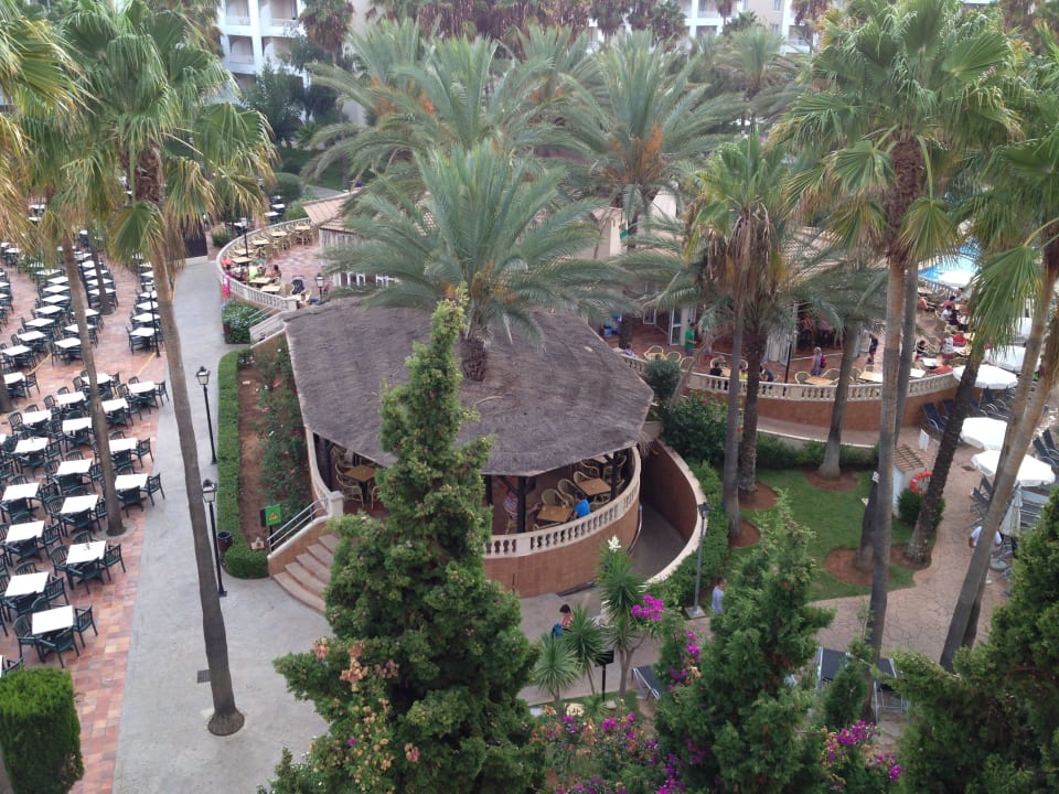 Bar in der Mitte Protur Safari Park Aparthotel