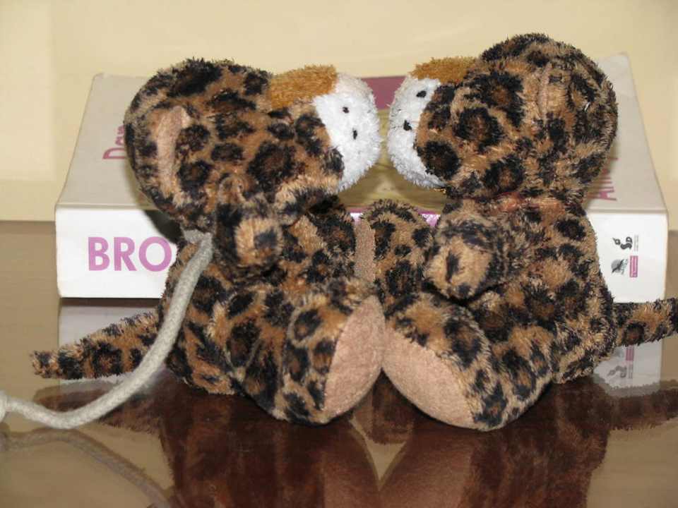 Pokój Palmyra Amar El Zaman Aqua Park