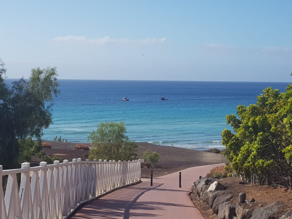 Gartenanlage Iberostar Waves Gaviotas Park