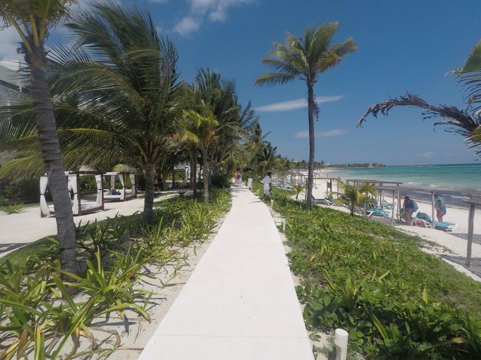 Gartenanlage Akumal Bay Beach & Wellness Resort