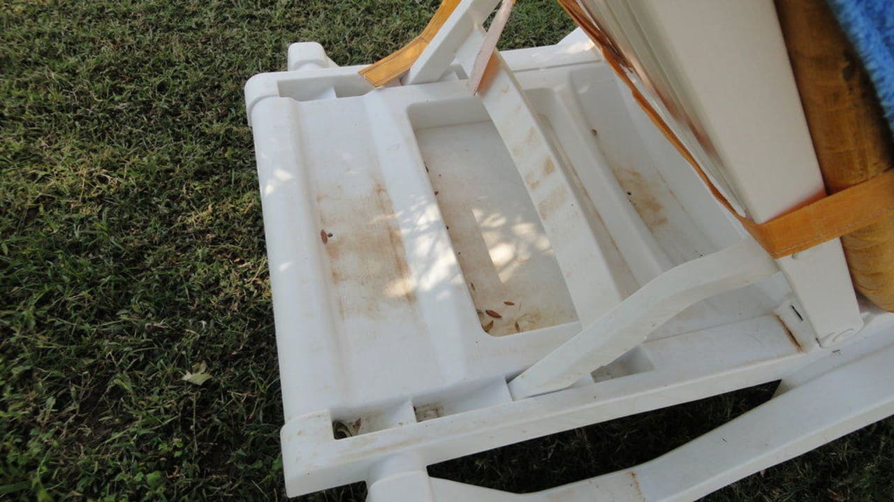 Die Liegen Le Jardin Resort