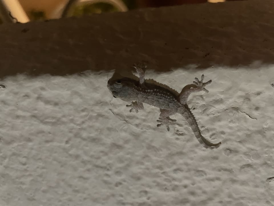 Sonstiges Hotel Eva Bay