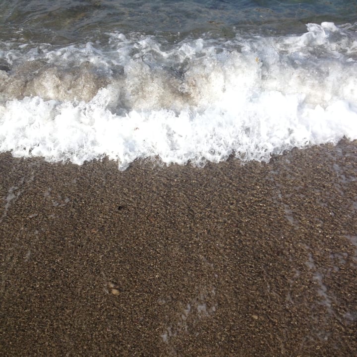 Strand Dizalya Palm Garden