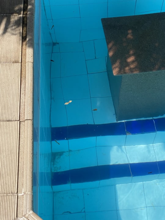 Gastro Regina Resort and Aqua Park Hurghada