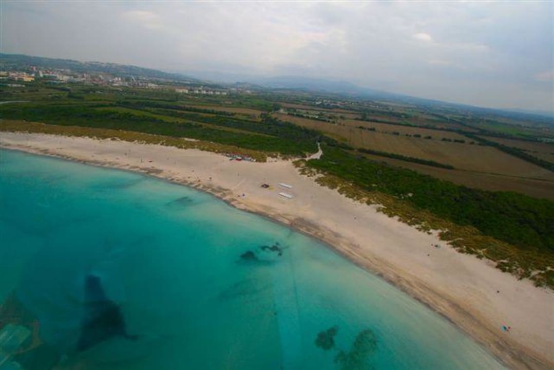 Spiaggia dell'hotel Hotel Ellymar