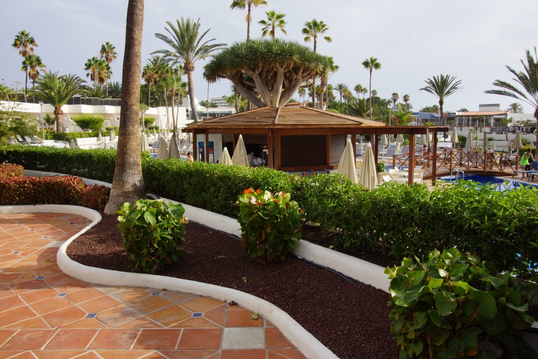 Pool H10 Gran Tinerfe - Adults only