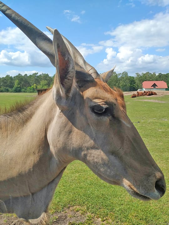 Sport & Freizeit Safariland Stukenbrock Erlebnisresort