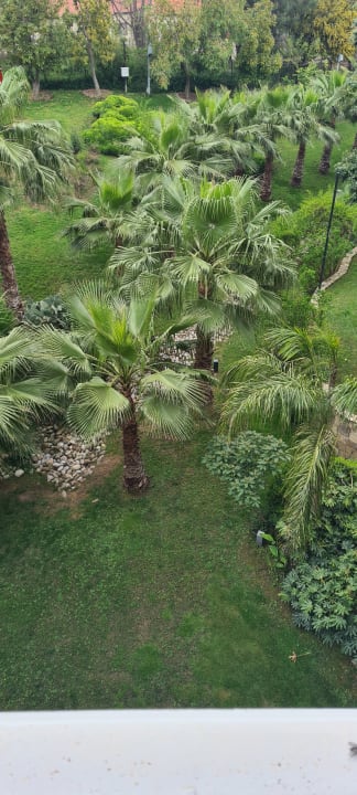 Außenansicht PALOMA Perissia